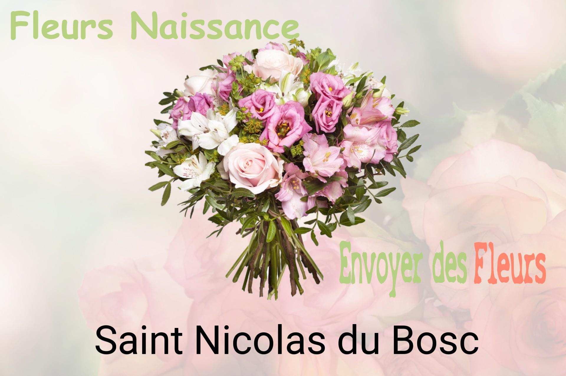 Bouquet de fleurs de naissance livré à Saint-Nicolas-du-Bosc